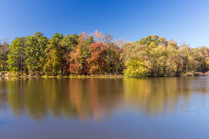 Panoramic Image of Conway, AR